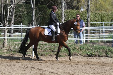 Bild 356 - WBO-Turnier am 9.4.11